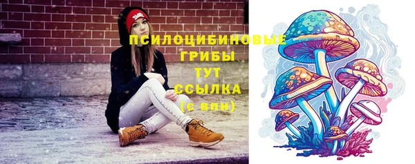 а пвп мука Вяземский